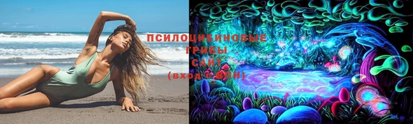 гидропоника Нея