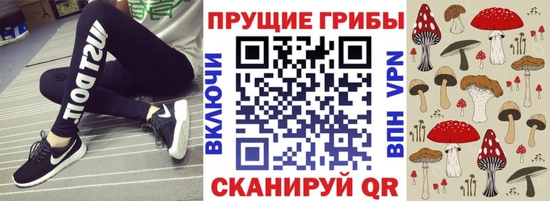 Галлюциногенные грибы мицелий  Серафимович 